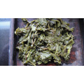chá verde extra china 41022 para o mercado da Argélia por preço com 250g de estanho